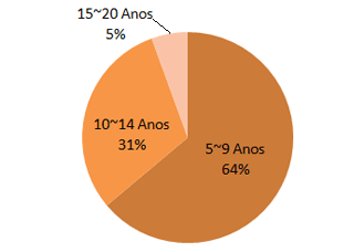 Anos de experiência tradução